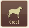 Grootte - groot
